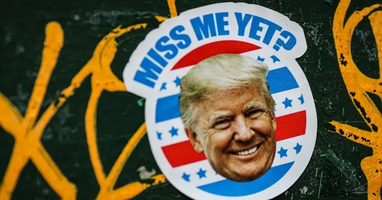 Trump: Çin, 2020 seçimleri öncesinde 220 milyon ABD seçmen kaydını ele geçirdi