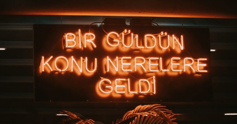 Bir Sonraki Çöküş: Bu Sefer Farklı Olmayabilir