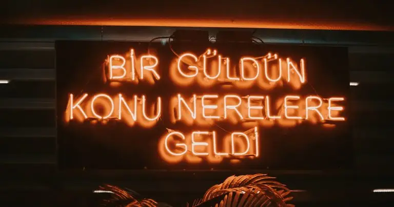 Bir Sonraki Çöküş: Bu Sefer Farklı Olmayabilir